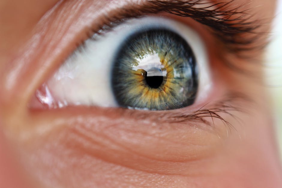 Understanding Common Eye Diseases Today