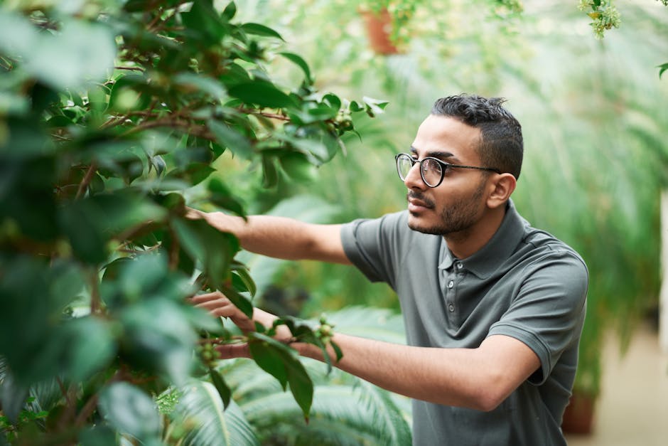 Top Brands for Eco-Conscious Glasses