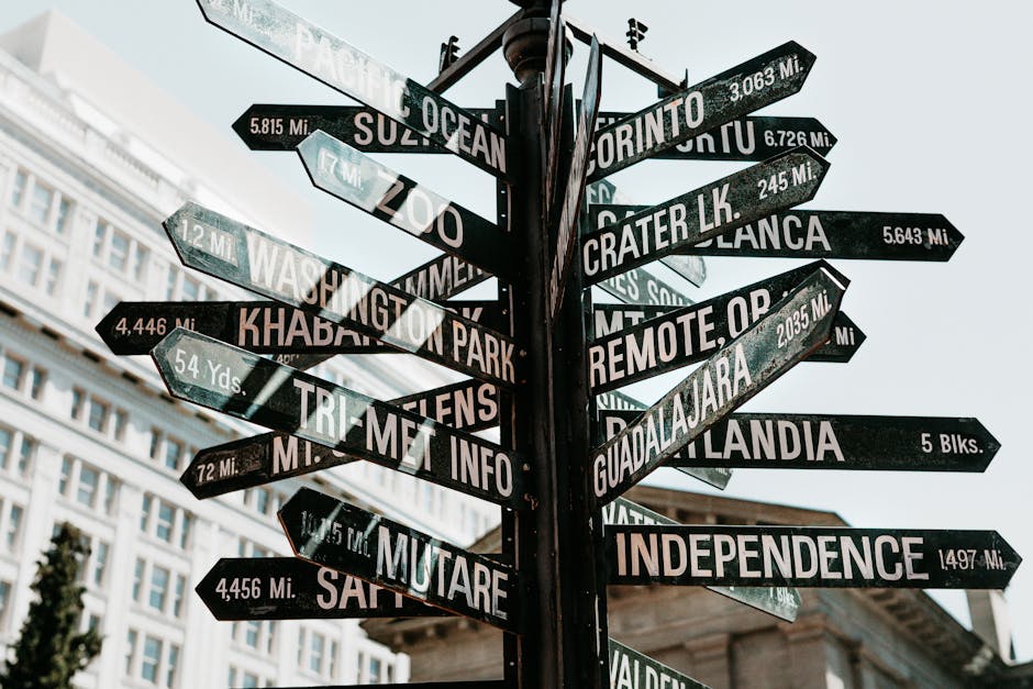 Sustainable Lenses: A Guide to Choices