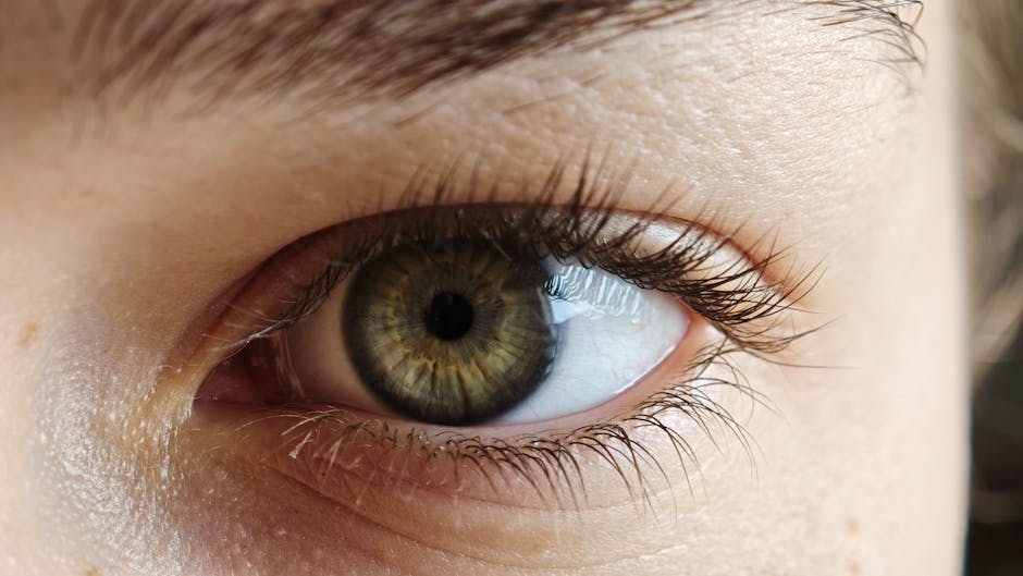 The Best Foods for Eye Health