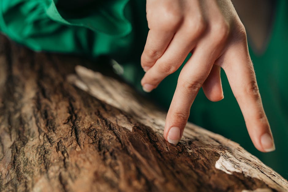 Discovering the Best in Sustainable Lenses